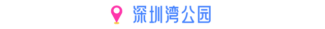 来深圳必走！一天看透城市的活力与浪漫