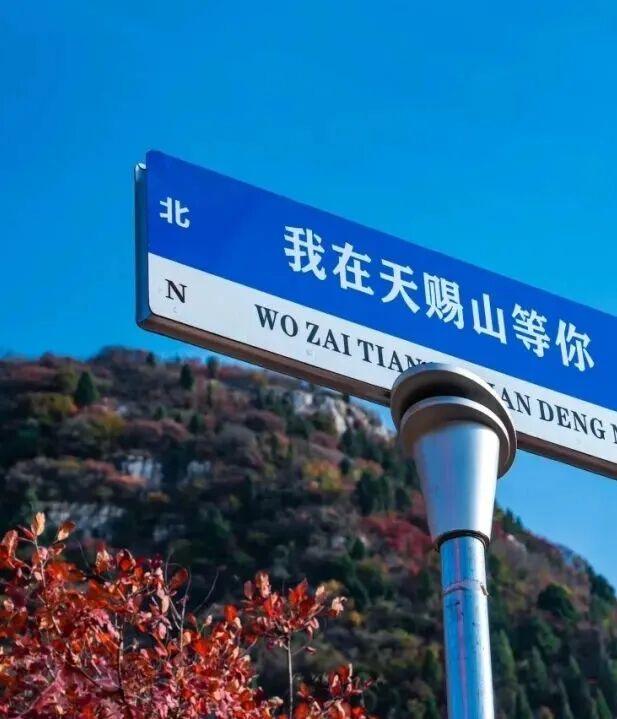 国庆自驾 “齐鲁天路”，上新活动全攻略出炉！