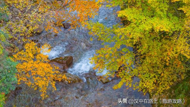 多图实拍!这才是汉中的秋日顶流!