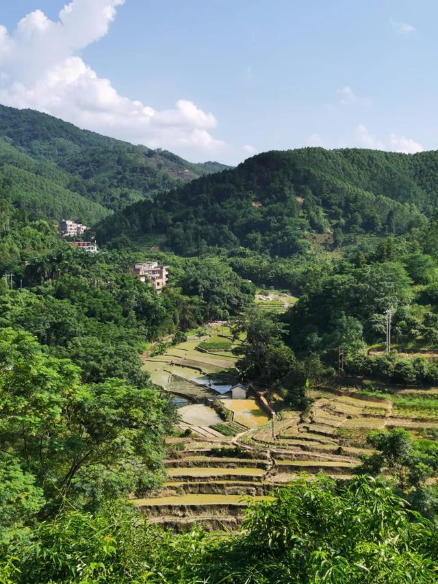 官宣！云浮要去内蒙古 “交换冬天”！