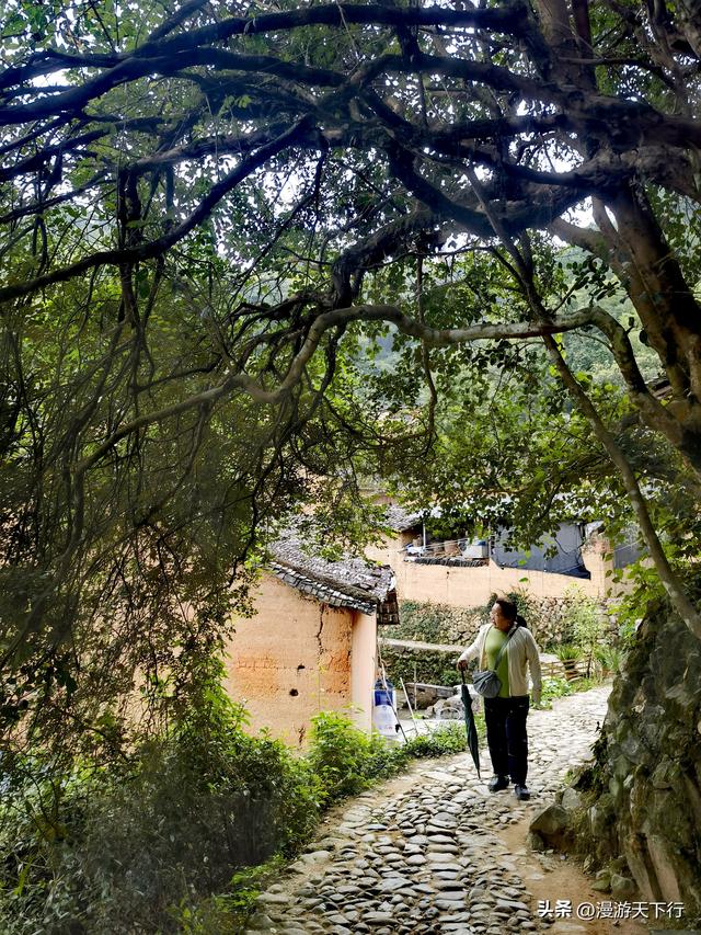 进山寻觅松阳的古村落，结果让我看到了与北方不一样的地方