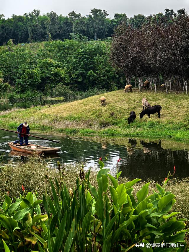 骑行听书：让快乐加倍，让风与墨香撞个满怀