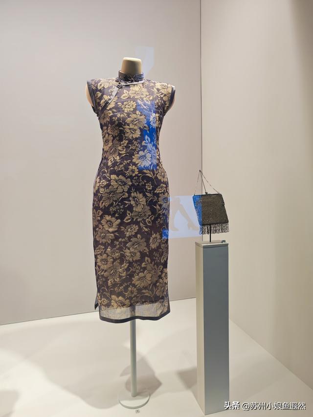 冬日限定浪漫！上博打卡百年旗袍，邂逅张信哲私藏的东方摩登