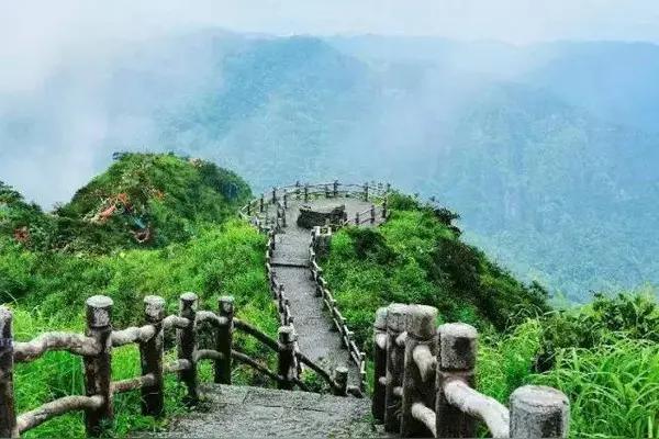 刷屏的大明山“脏水””官方辟谣：是天然茶溪