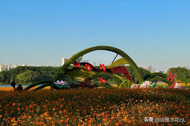 海珠湖公园秋日浪漫盛景