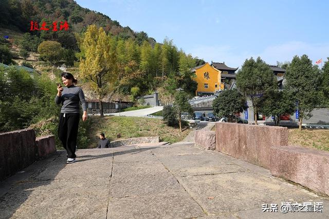 古桥、古村，银杏黄、芦苇荡，宁波城郊居然有这么美的赏秋地