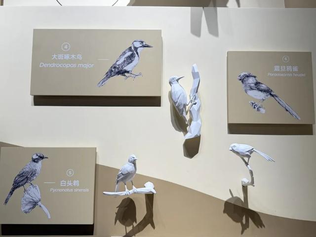 上海科技馆焕新升级，今天面向公众开启首场压力测试！小布带你探营→