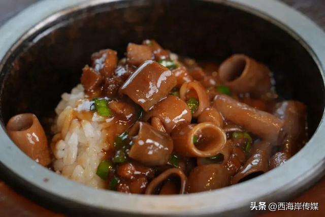 秋色渐浓，正是奔赴红树林的最佳时光！