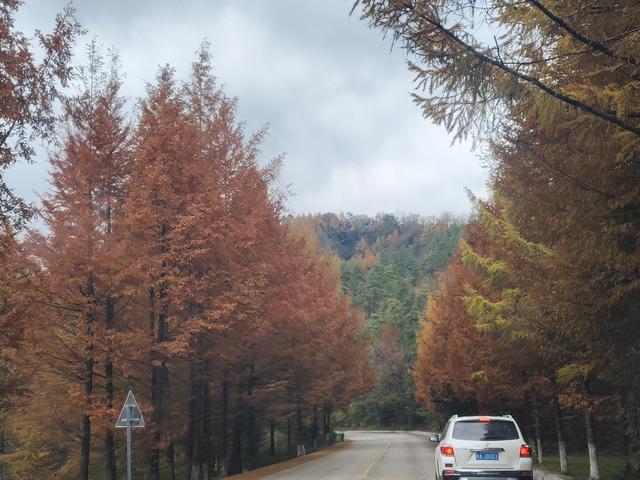 南行漫记：汉中南郑区到巴中恩阳区，9小时233公里的行走路书