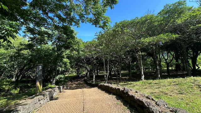 感受自然之美,夏日里的清幽秘境, 韩国济州岛汉拿树木园