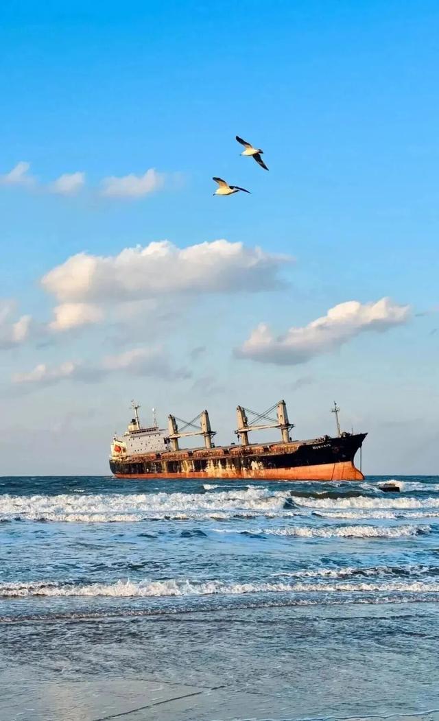 等了一年！烟威最浪漫的时刻，终于来了！