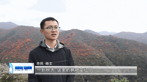 国营林场：漫山红叶绘就秋日生态画卷