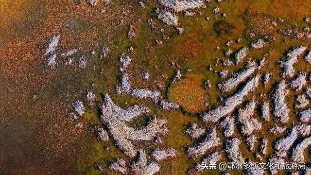 内蒙古杭锦旗：湿地秋景惹人醉