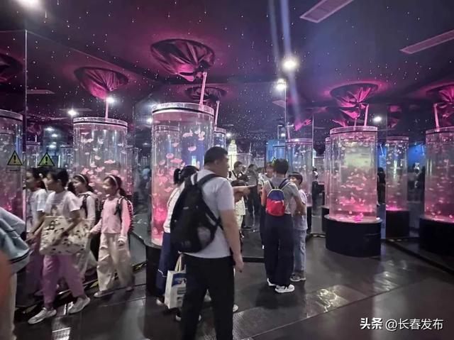走进长春！150个网红打卡地之长春农业博览园