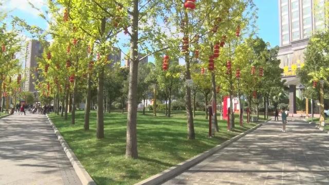 桐梓家门口的这些公园太好逛了→
