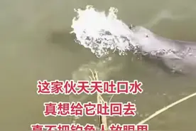 国家重点保护的江豚，在岸边向钓鱼人吐水！网友评论搞笑图片