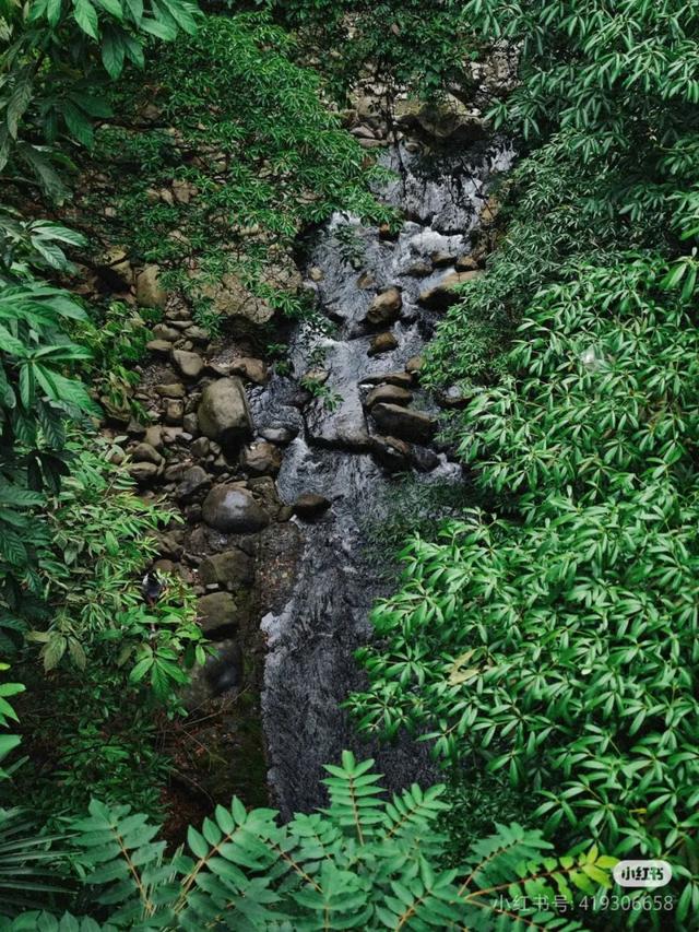 逃离38℃！成都周边12个清凉秘境，避暑耍水峡谷飞瀑！全部免费当天打来回！