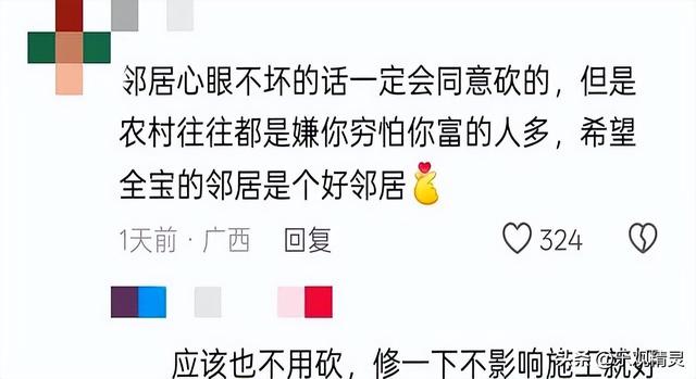 全红婵建房最新进展！邻居需求太苛刻，律师出狠招！婵宝有麻烦？