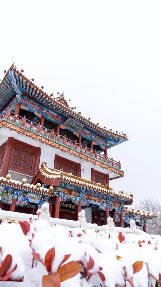 这个冬天，在济宁提升幸福感，你可以这样做