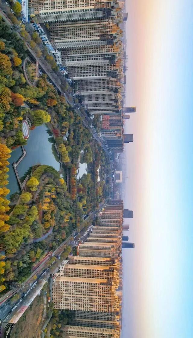 点点点点点点点点点点！洛阳秋天...