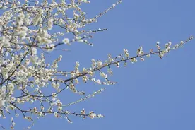 好好爱自己的9种方式图片