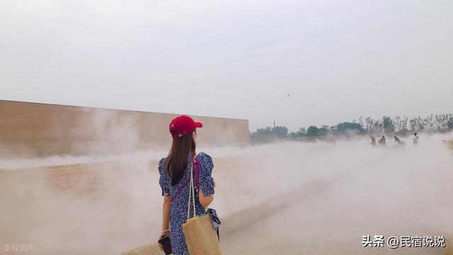 郑州用600株银杏带你迎接“醉”美的秋天