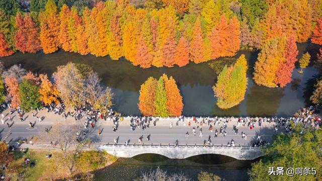 猜猜这是南京的哪里？简直美爆了！