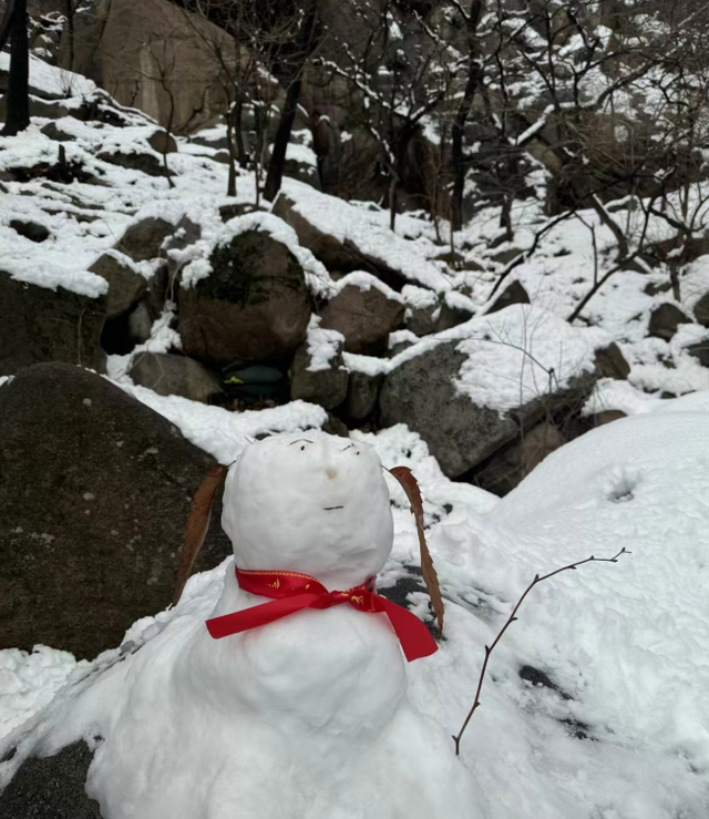 春天又想起来逞能了！今早，大批青岛人憋着想请假：领导，这里突然美得不像话，我能不能去打个卡，晚了怕它化了……