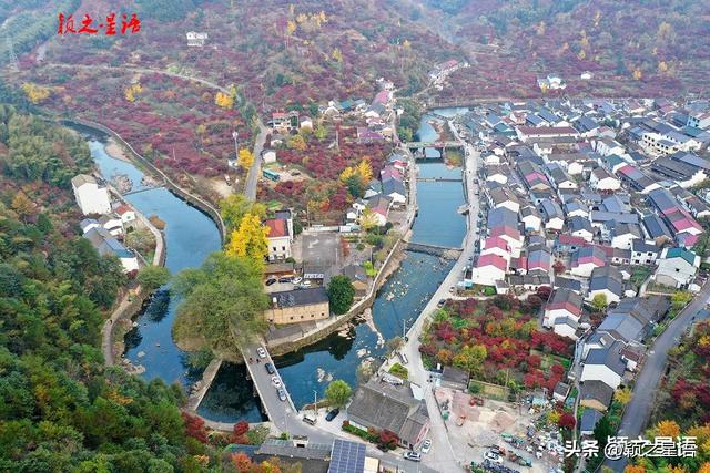 走过这条公路吗？宁波最美秋色路，又到绚烂时