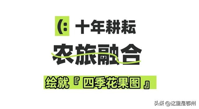 熟了熟了🤤鄂州又有好果子吃