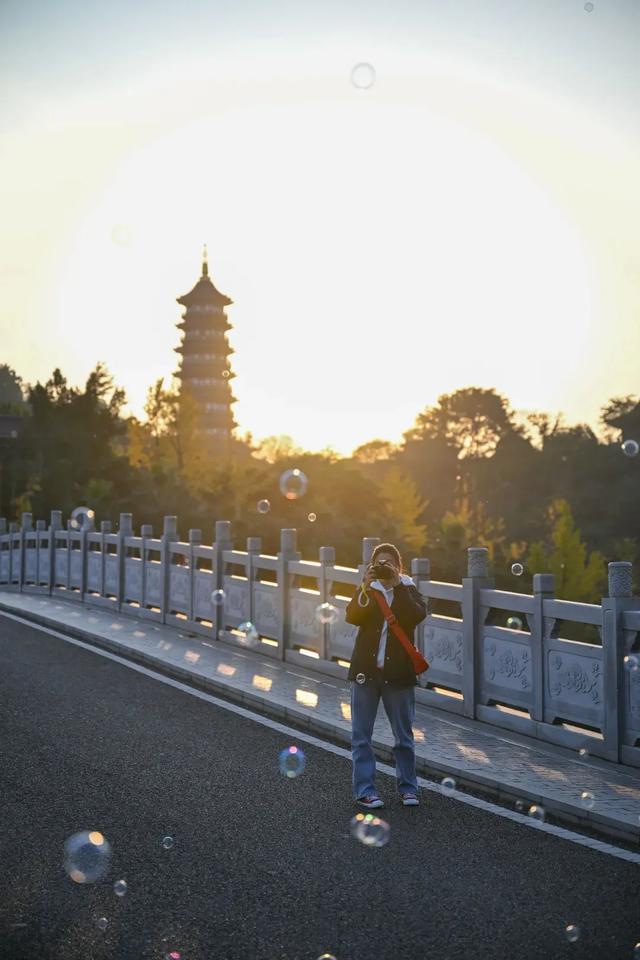 最高气温20℃！重庆人快来这些公园晒太阳