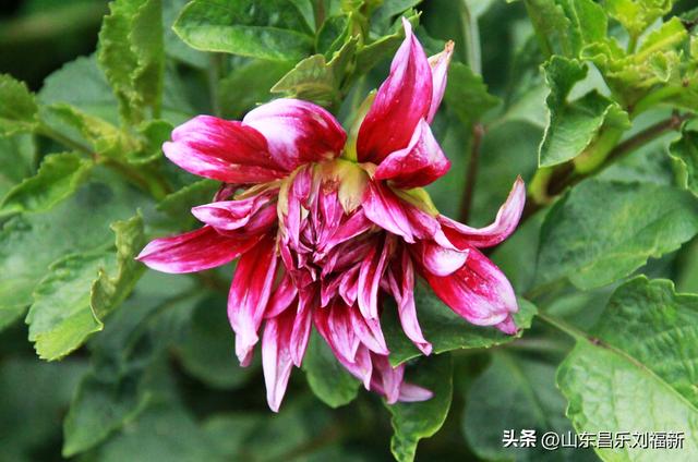 逛了个大圈