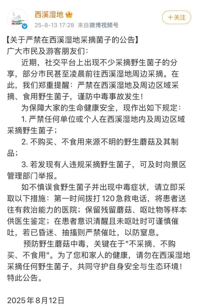 捡不完，根本捡不完！杭州这里一批批人涌入！多平台公告：严禁