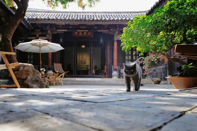 喜报！建水新增两家全国乙级民宿