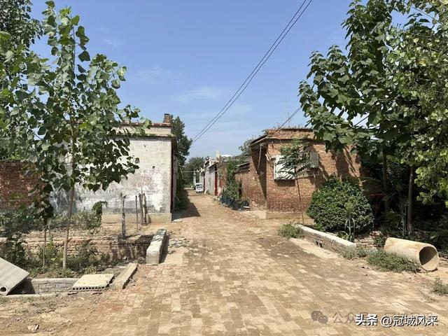 冠县乡韵·定远寨镇前杏园村