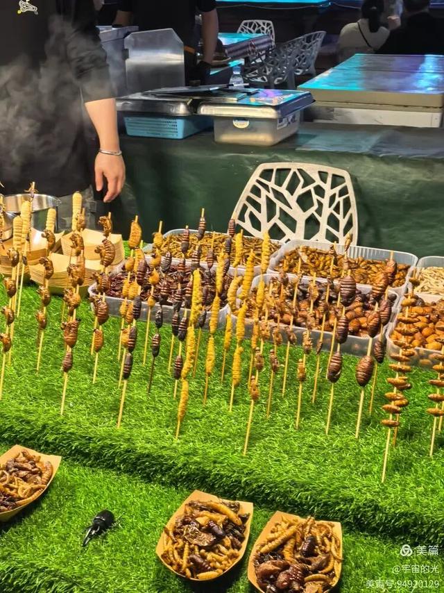 被世界推荐的旅游圣地~西双版纳之行随想