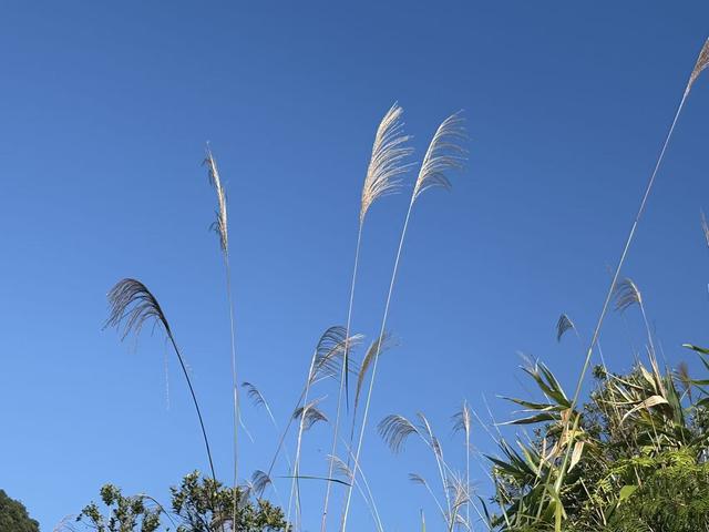 人过五十才明白：有些人，不必原谅