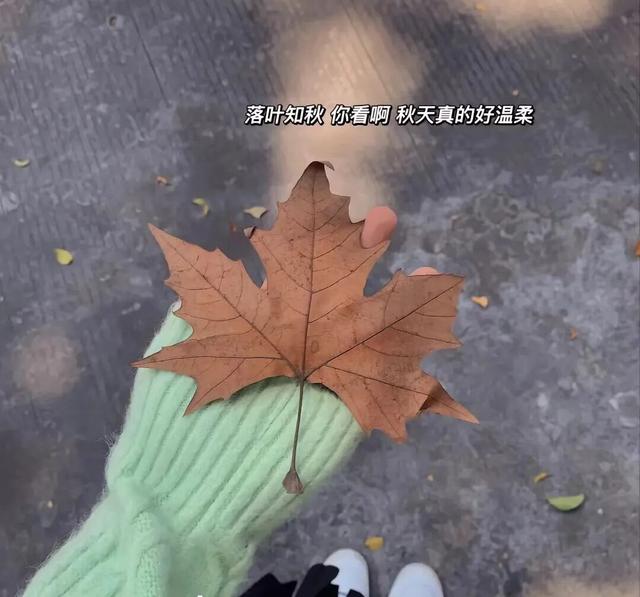 凉风有约，石泉喊你来赏秋~