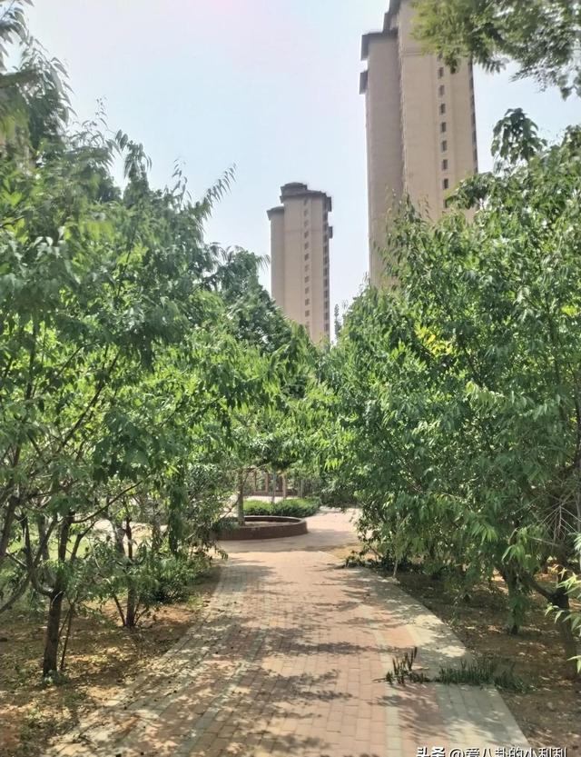 兜兜转转几十年才发现，人生的最终归宿还是田园