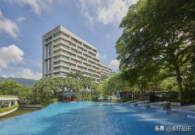 阿霞，2026年的第一天，我要对你表白！