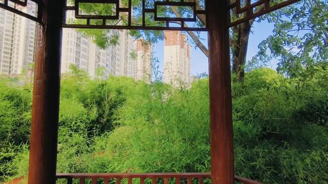 初秋的泌阳，变得更加多彩...