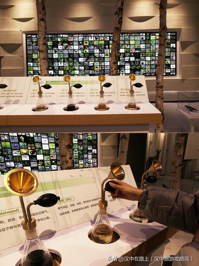 汉中巨型冰瀑奇观惊艳上线！