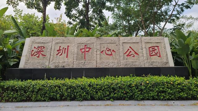 深圳最值得去的6个公园推荐！全部免费，地铁直达，好玩又好拍！