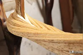 叮叮糖包甜的！图片