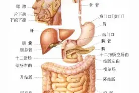 时隔五年，第二次做胃肠镜图片