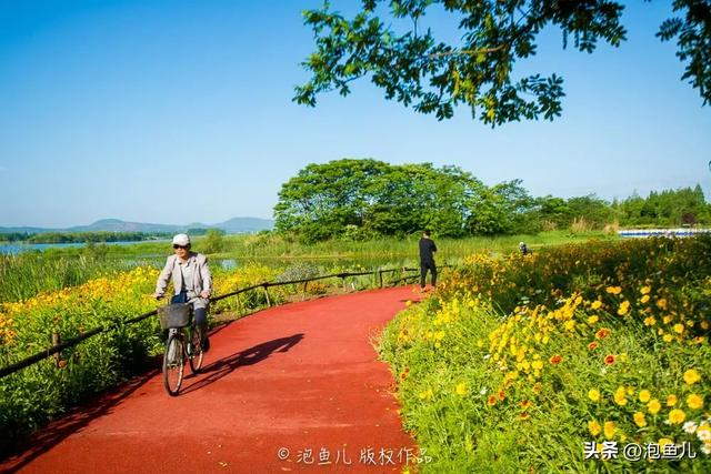 襄阳什么多?公园!公园!公园!