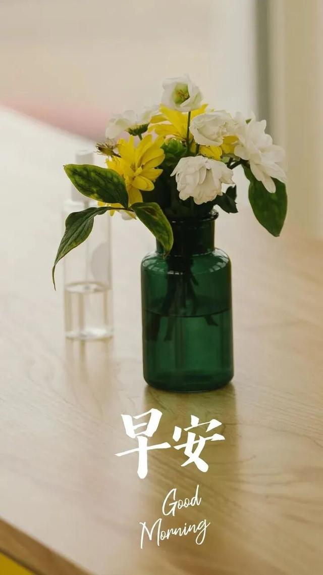早安正能量简短励志句子，阳光不燥，温度正好，美好的一天开始了