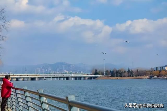 收藏！“双节”假期来城阳怎么玩？游玩线路已安排→