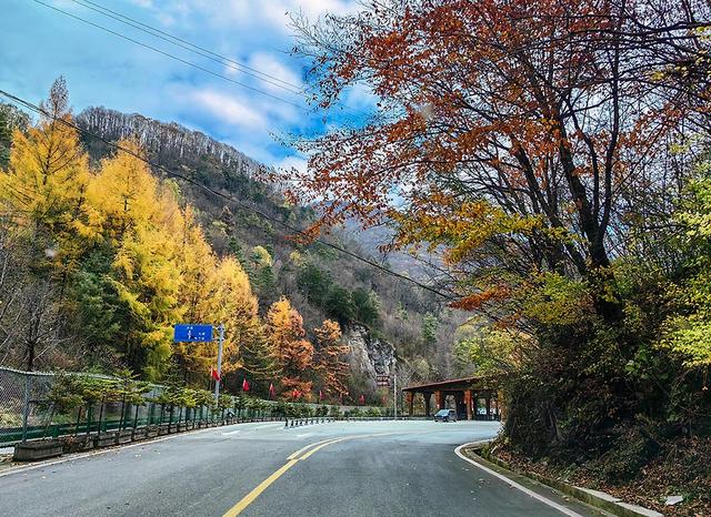 2024深秋四川行19 神农架风景区2 华中屋脊的五彩秘境