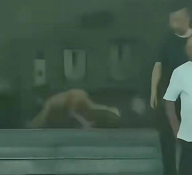 野人孩子父母正被调查是否违法